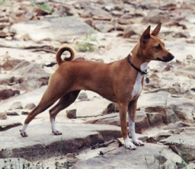 Photo taken in 2000.