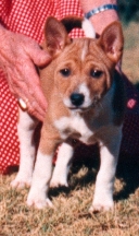 Front view of M'Bunga. Photo courtesy Michael Hughes-Halls.