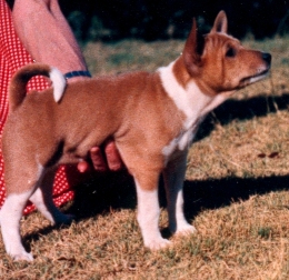 Side view of M'Bunga. Photo courtesy Michael Hughes-Halls.