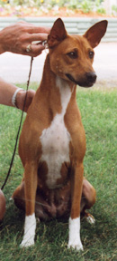 Front view of Maggie.