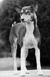 Nyanabiem of Tonj front view.