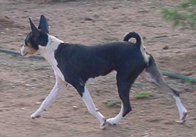 Courtesy Beverly Bland, July 2002.