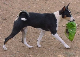 Courtesy of Beverly Bland.