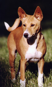 Rudi as a youngster.