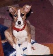 Ruya at 3 months. Photo courtesy D. MacDonald.