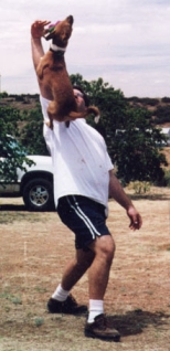 Simba at play.