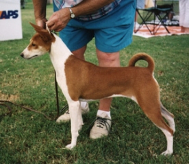 Summer 2000 - side view of Tico.