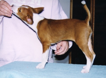 Candy in 1998.