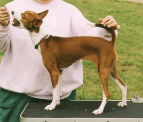 Candy in 1999.
