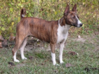 Avongara Worth A Lotte