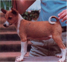 Joann at approx. 11 weeks.