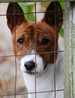 Pamela Geoffroy  & Sheila Lund