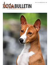 October Bulletin Cover