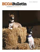 BCOA Bulletins