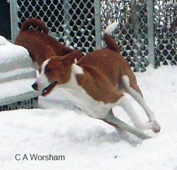 07_CA-Worsham.jpg