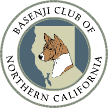 Basenji Club of Northern California