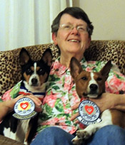 Therapy Basenjis Mary with her Therapy Basenjis