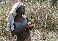 Books, CD's and Pamphlets