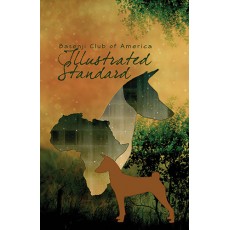 Illustrated Standard