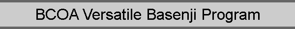 BCOA Versatile Basenji Program
